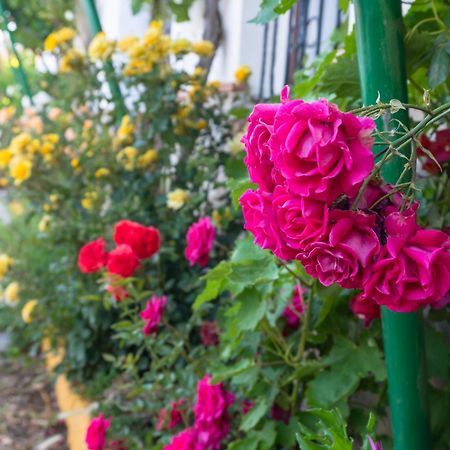 Canete la Real Casa Rural Huerta La Lapa מראה חיצוני תמונה