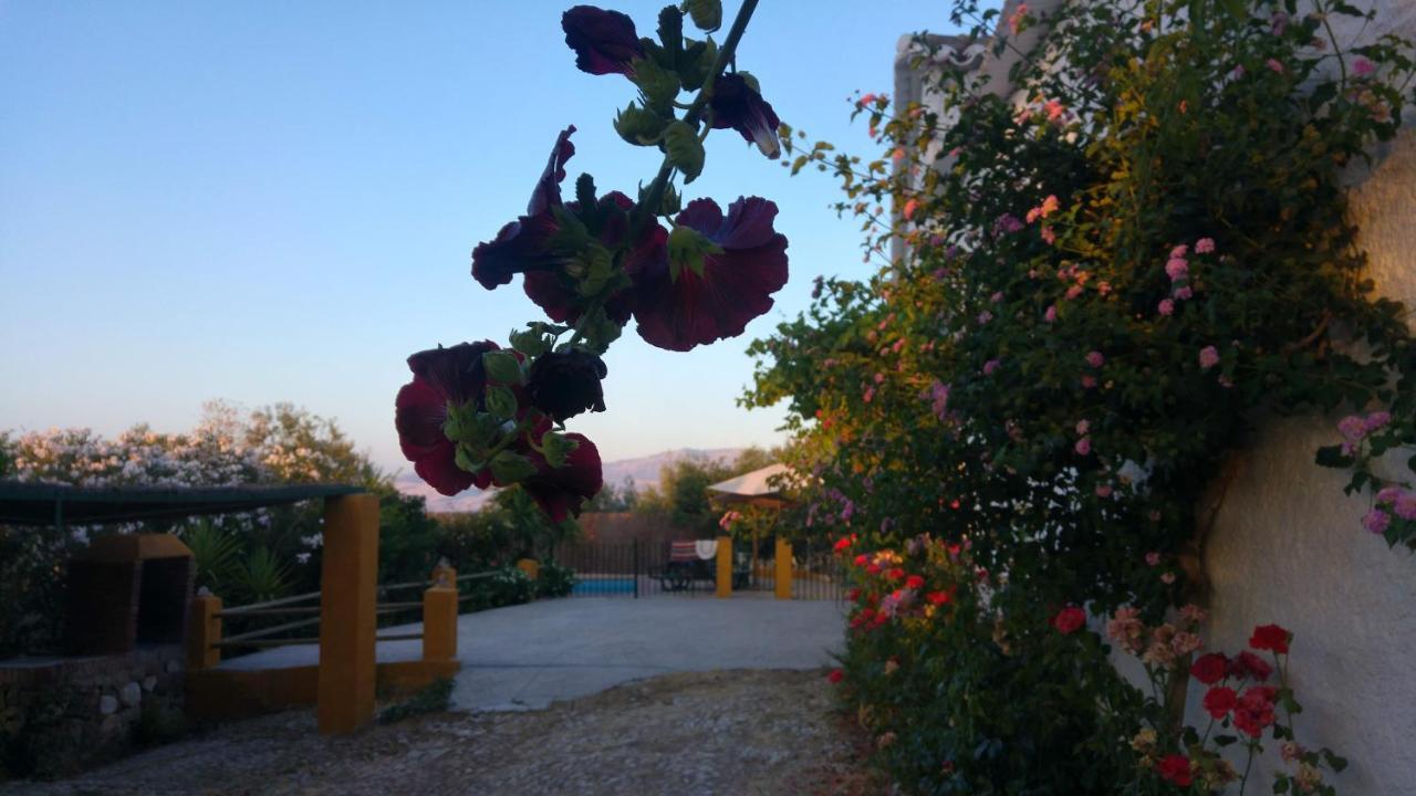 Canete la Real Casa Rural Huerta La Lapa מראה חיצוני תמונה
